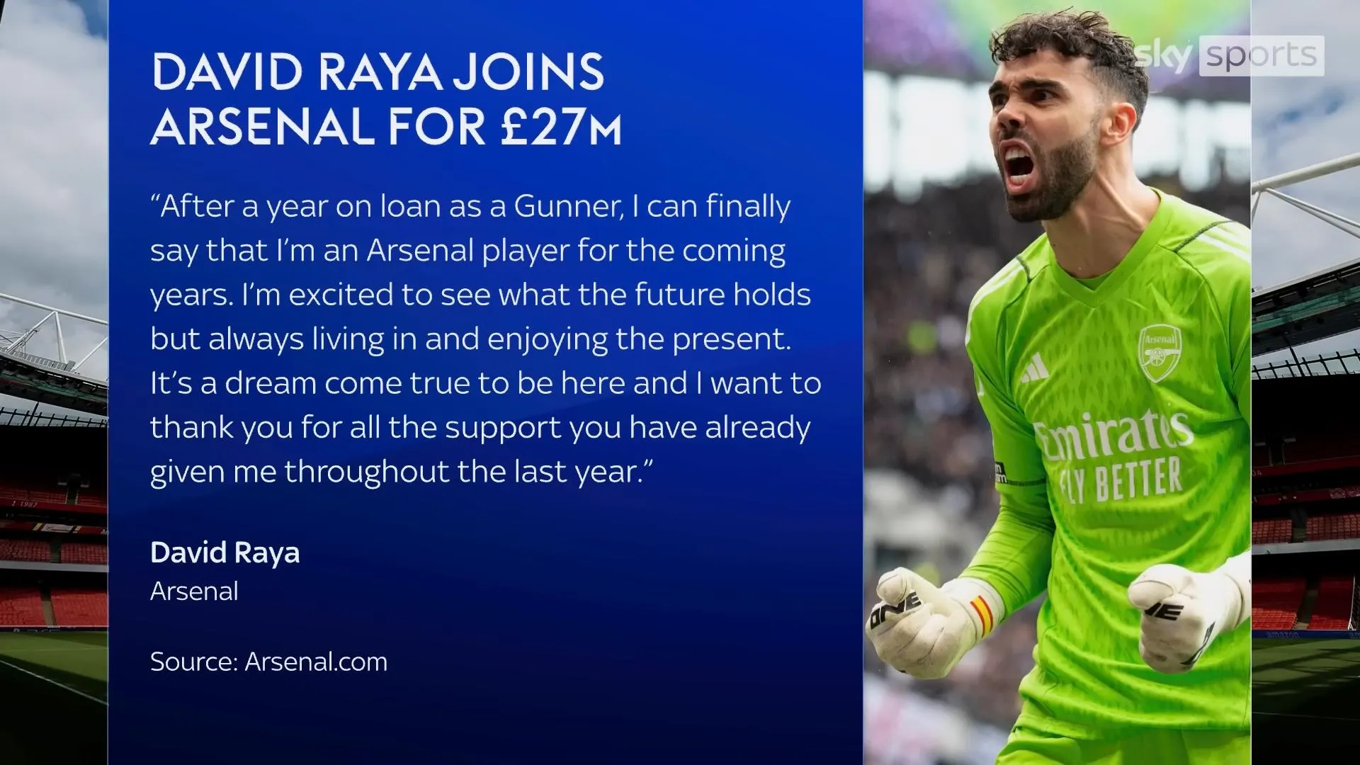Arsenal goalkeeper David Raya transfer